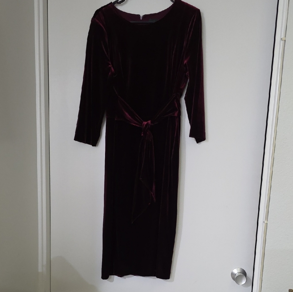Adrianna Papell Dark Burgundy Velvet Midi Sleeve Dress